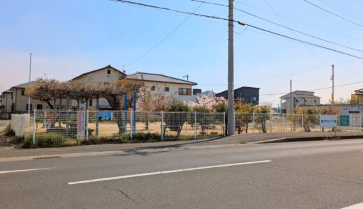 パンジーの花壇どこ行った!?竜川ボランティア公園がスッキリ模様替え？