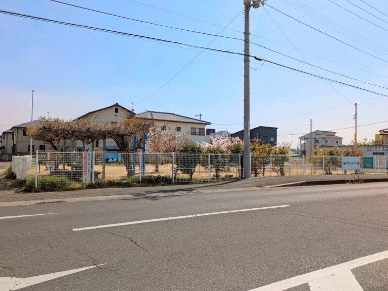 パンジーの花壇どこ行った!?竜川ボランティア公園がスッキリ模様替え？
