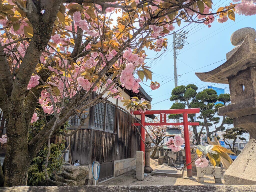 多度津町 金刀比羅神社(須賀の金比羅さん)