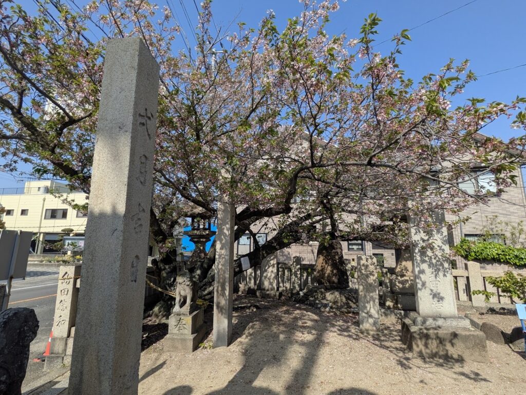 多度津町 金刀比羅神社(須賀の金比羅さん)