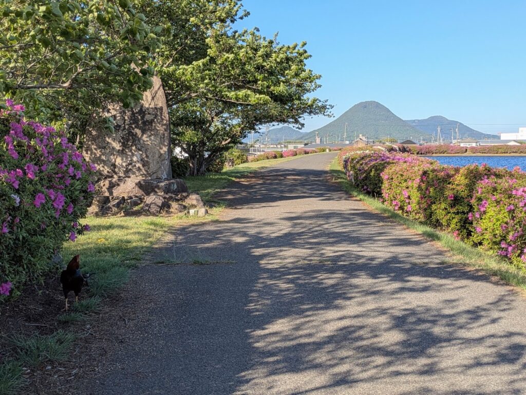 善通寺市 村上池