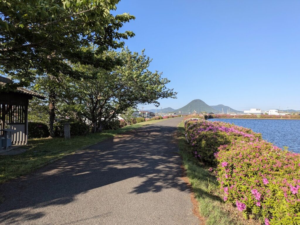 善通寺市 村上池