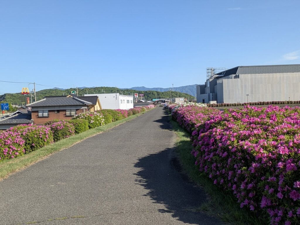 善通寺市 村上池