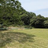 丸亀市綾歌町 綾歌森林公園 ネコバス