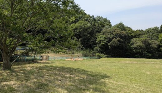 ネコバス、森を去る。あとに残ったのは・・・？