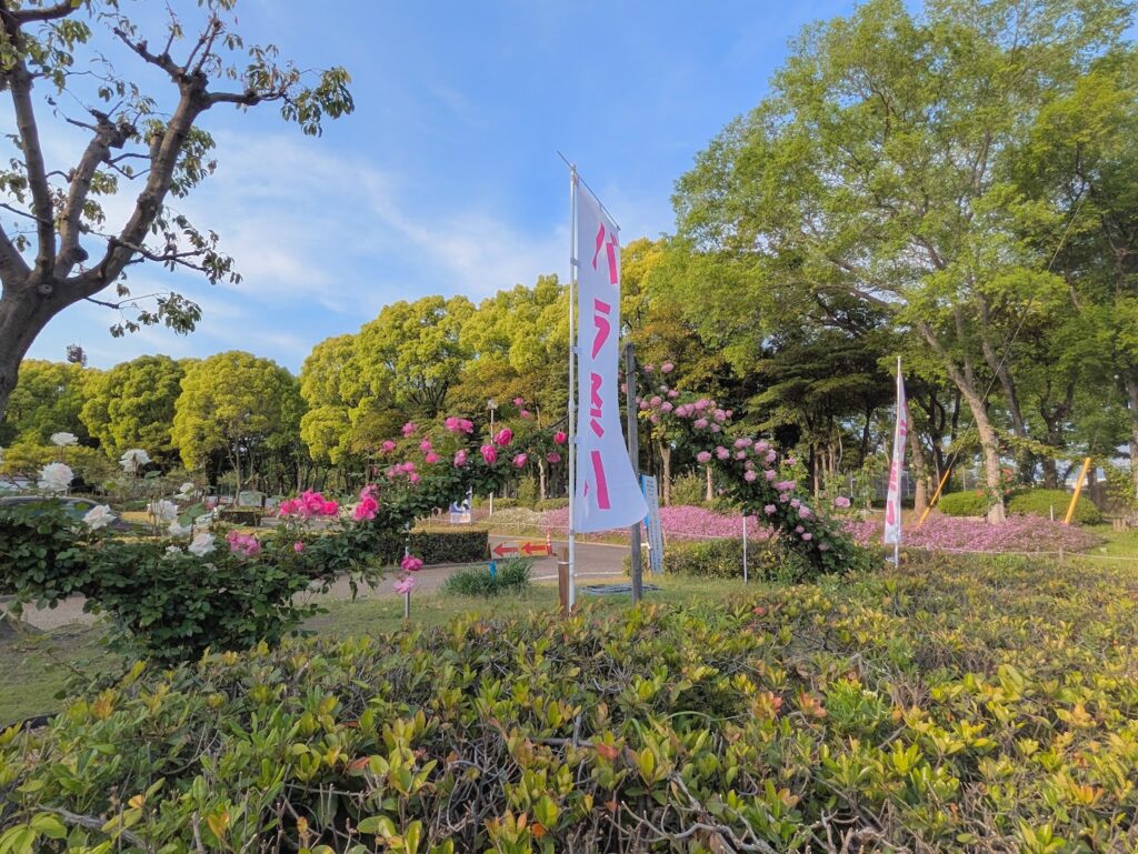 坂出市 番の州公園バラ祭り2025
