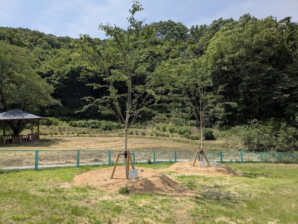 丸亀市綾歌町 綾歌森林公園 ネコバス