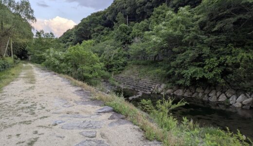 今年もホタルが飛び始めた！まんのう町「ほたる見公園」へ下見に行ってきたよ