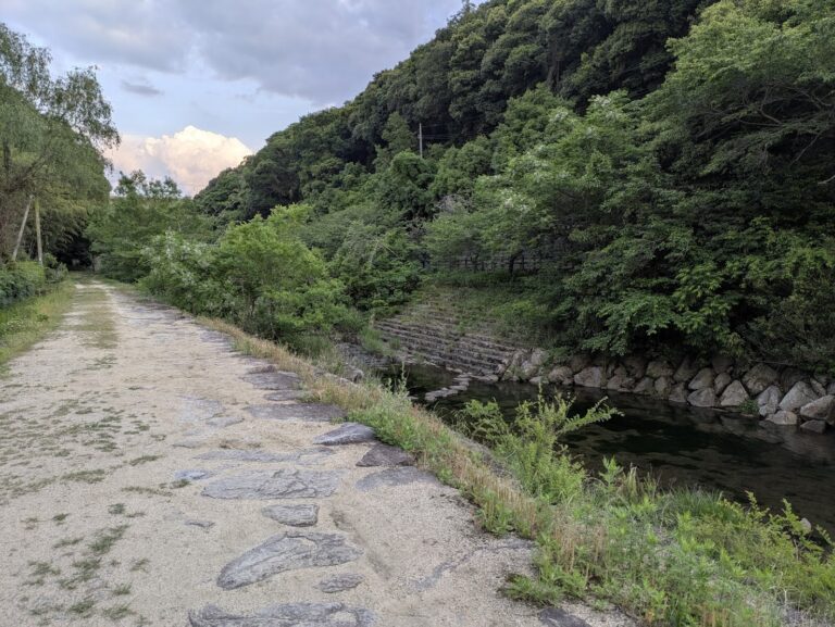 今年もホタルが飛び始めた！まんのう町「ほたる見公園」へ下見に行ってきたよ