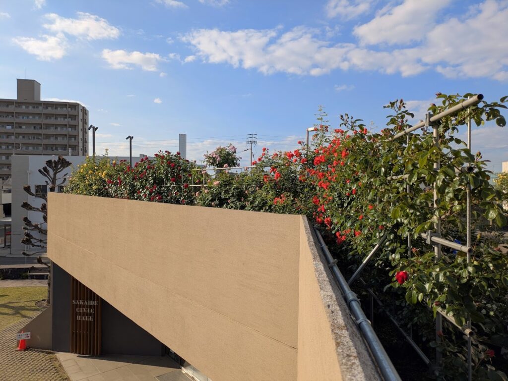 坂出市 坂出人工土地 ローズフェスタ2025