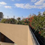 坂出市 坂出人工土地 ローズフェスタ2025