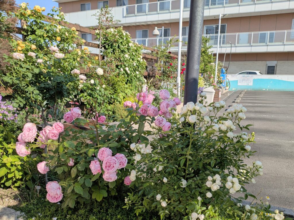 丸亀市郡家町 シャワーパック 一里屋