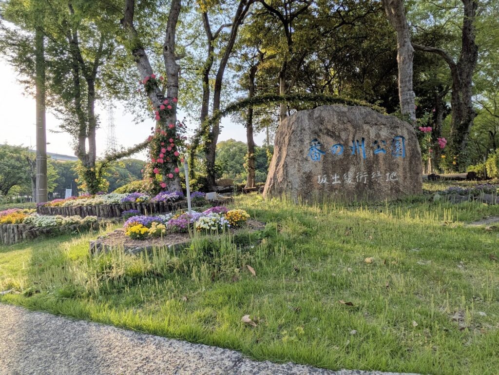 坂出市 番の州公園バラ祭り2025