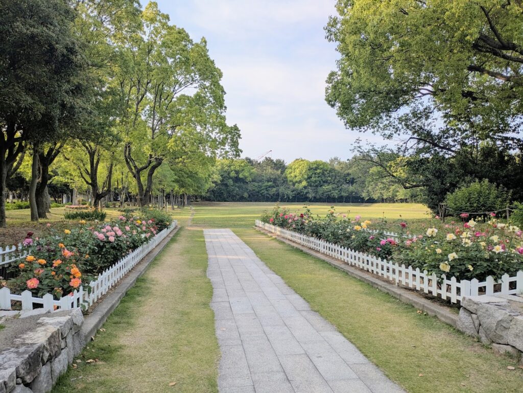 坂出市 番の州公園バラ祭り2025