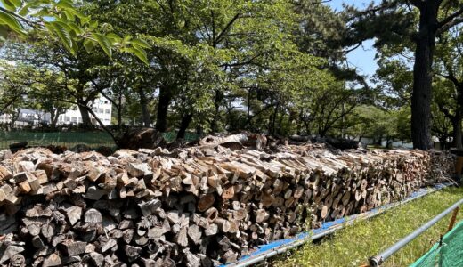 丸亀城の伐採木を薪に！市内在住者対象で無料配布するみたい♪ ※先着順で事前申し込み必須