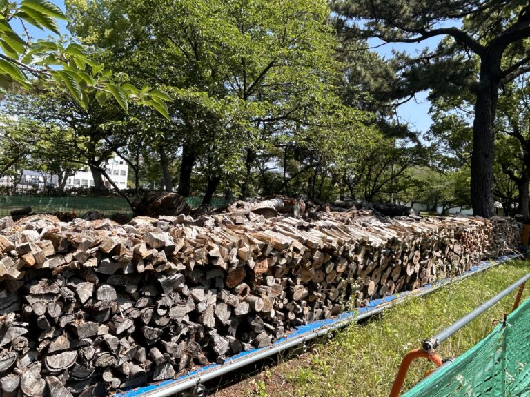 丸亀城の伐採木を薪に！市内在住者対象で無料配布するみたい♪ ※先着順で事前申し込み必須