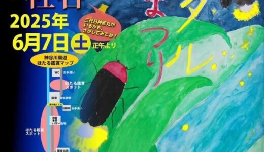 国宝 神谷神社で「ホタルまつり」が2025年6月7日(土)に開催される！限定御朱印や鳥居には「茅の輪」が登場！