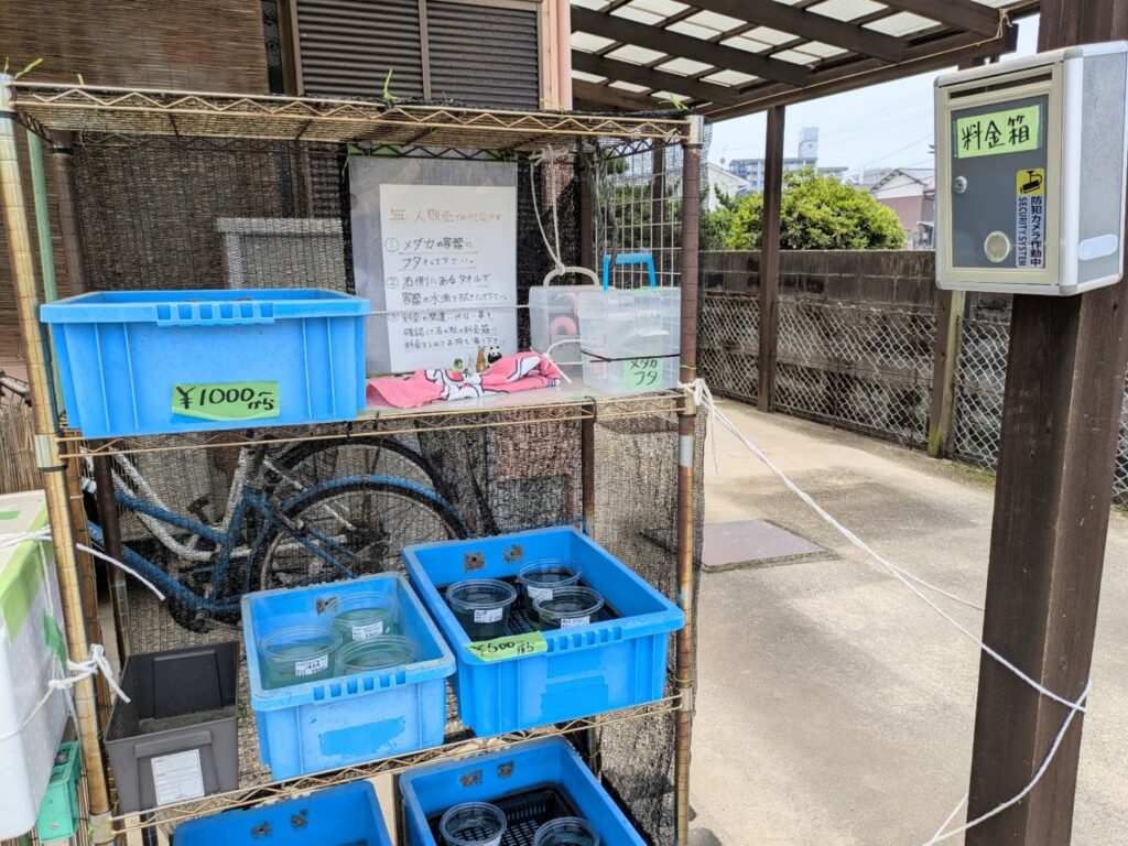 丸亀市土器町 野菜・果物の無人販売所