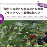丸亀市手島 ブラックベリー収穫体験ツアーin手島ブラックベリー収穫体験ツアーin手島