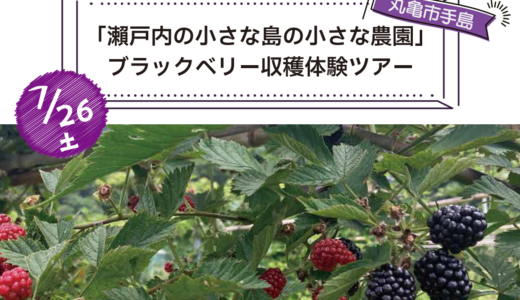 丸亀市手島で「ブラックベリー収穫体験ツアーin手島」が2025年7月26日(土)に開催される！※申込受付中！