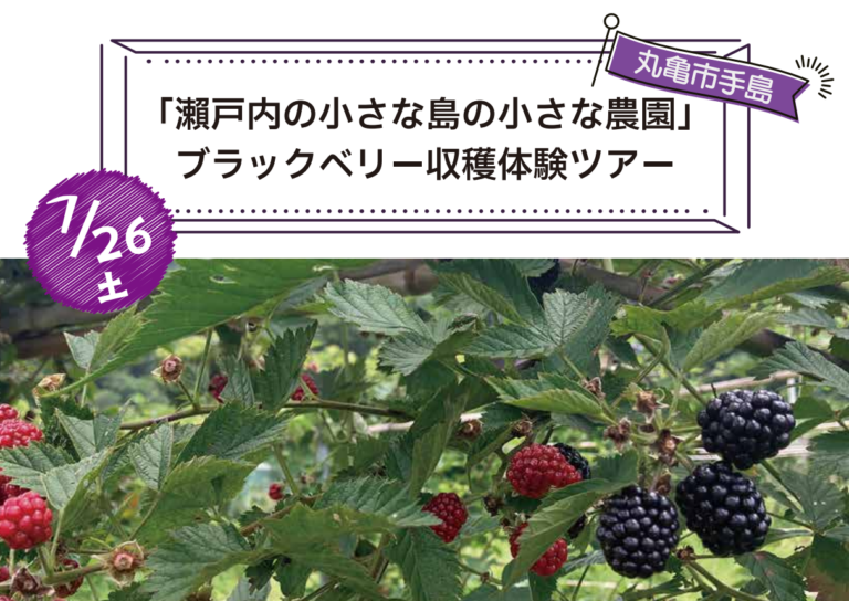 丸亀市手島で「ブラックベリー収穫体験ツアーin手島」が2025年7月26日(土)に開催される！※申込受付中！