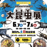イオンモール綾川 大昆虫展