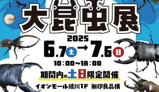 【大人気】「大昆虫展 inイオンモール綾川」開催中！世界のカブクワ30種類大集合！ふれあい＆幼虫探し体験もアリ♪