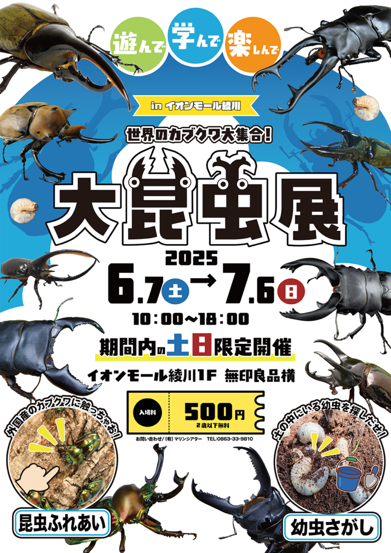【大人気】「大昆虫展 inイオンモール綾川」開催中！世界のカブクワ30種類大集合！ふれあい＆幼虫探し体験もアリ♪