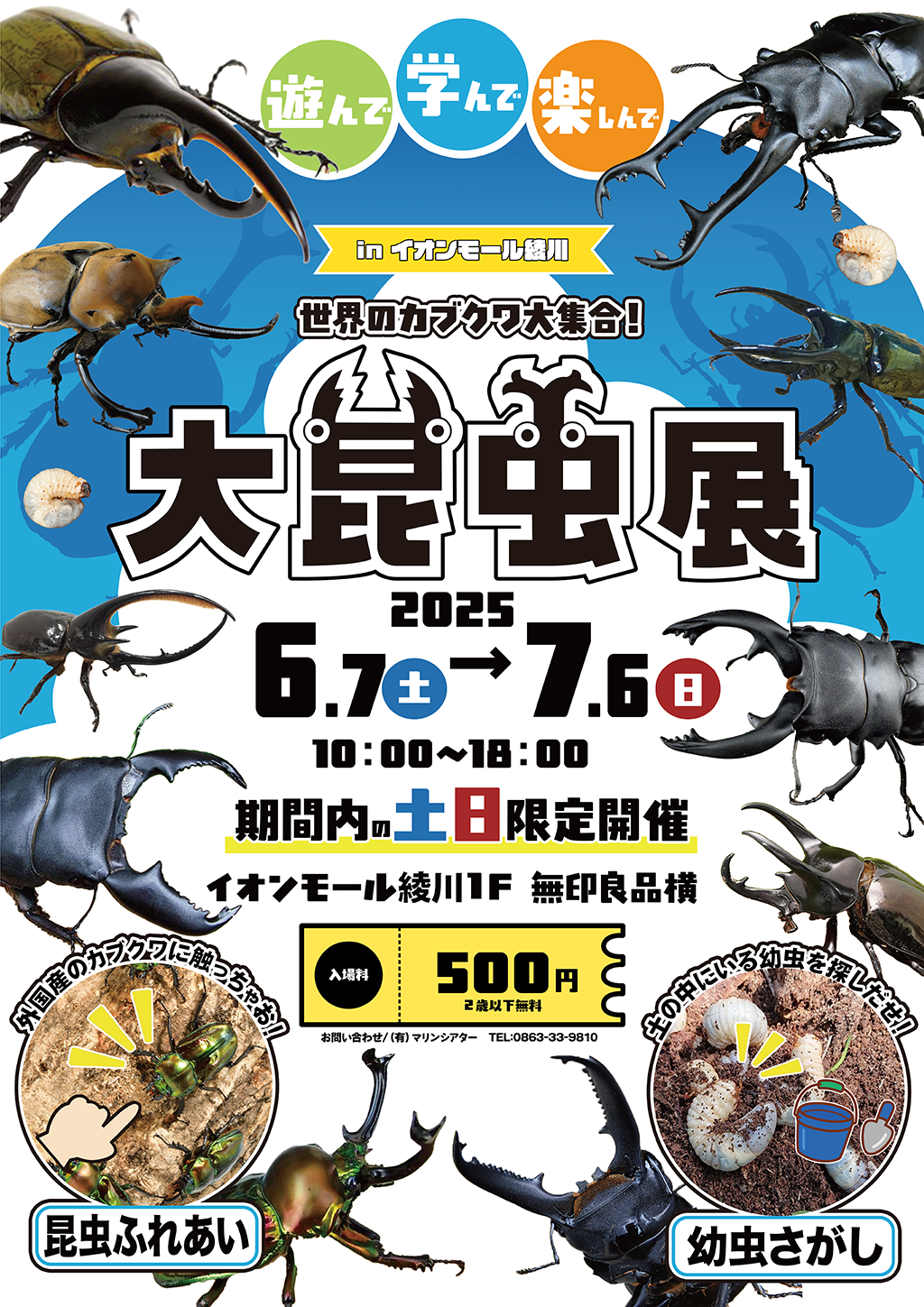 イオンモール綾川 大昆虫展