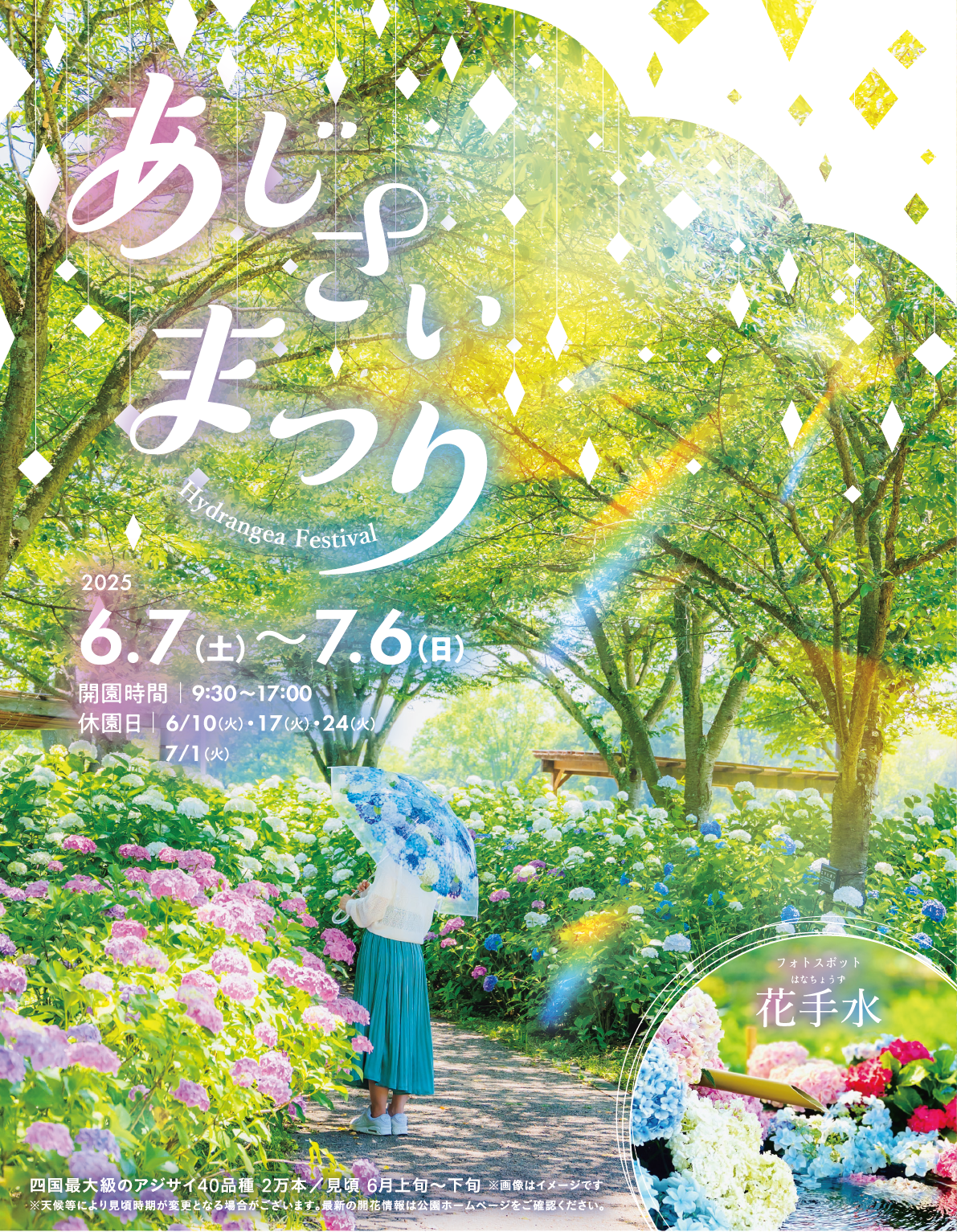 国営讃岐まんのう公園 あじさいまつり