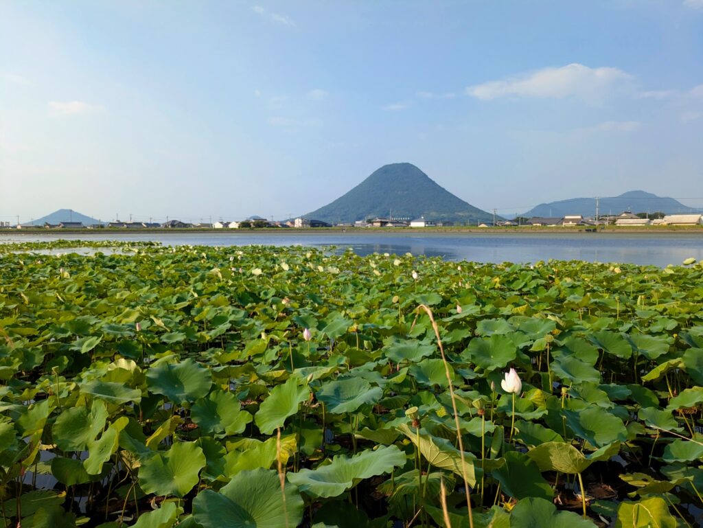 丸亀市川西町 八丈池