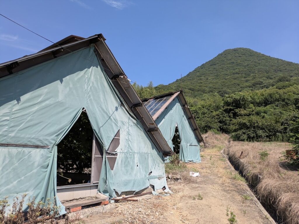 丸亀市飯野町 木村和史農園