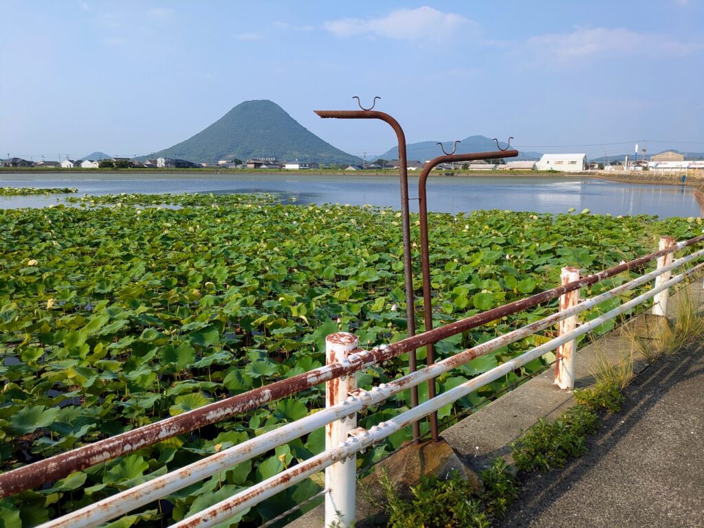 丸亀市川西町 八丈池