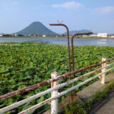 丸亀市川西町 八丈池