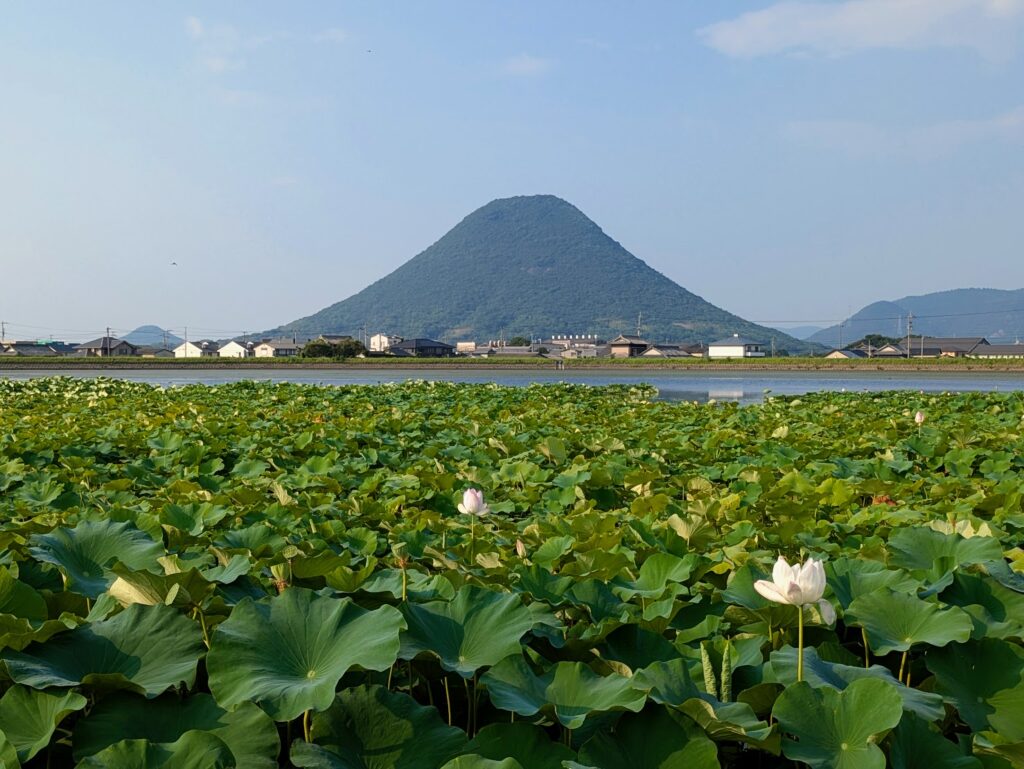丸亀市川西町 八丈池