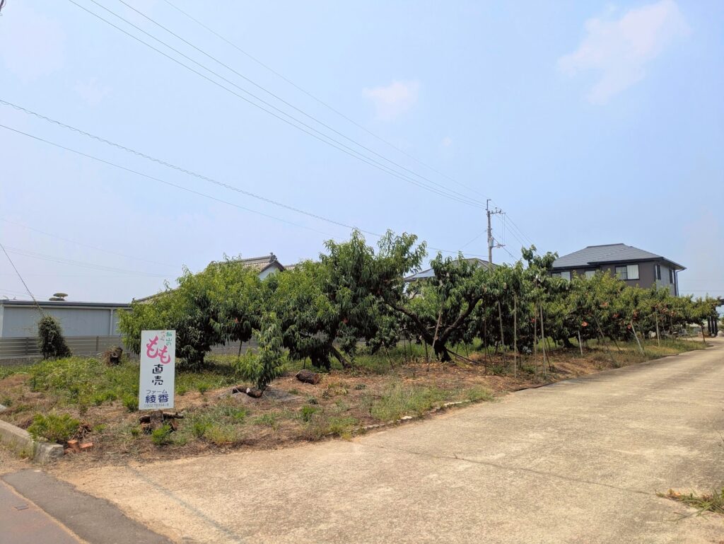 丸亀市飯山町 ファーム綾香