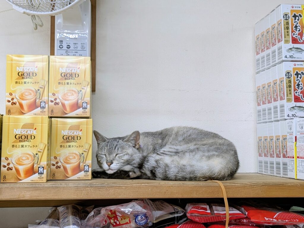 丸亀市通町 丸栄果物店