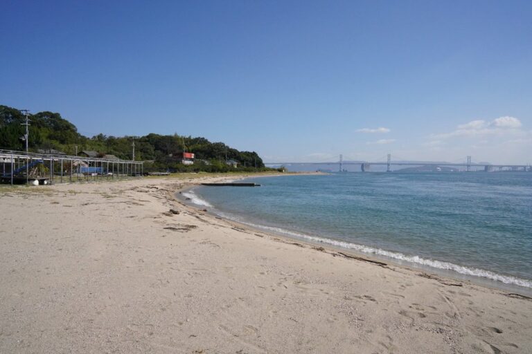 この夏は島で泳ぐ？令和7年度 本島・広島海水浴場の海開き情報！