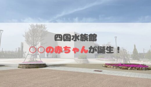 四国水族館で赤ちゃん誕生！