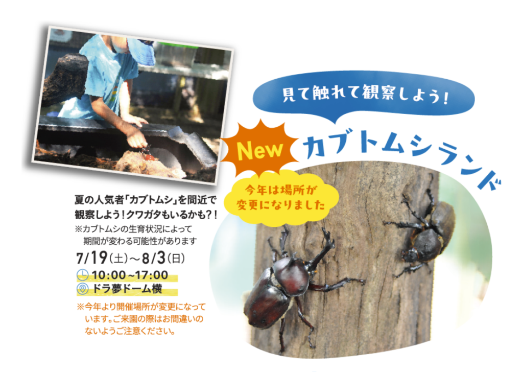 国営讃岐まんのう公園 サマーフェスタ カブトムシランド