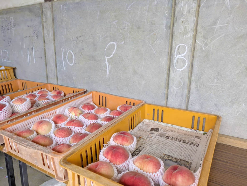 丸亀市飯山町 ファーム綾香