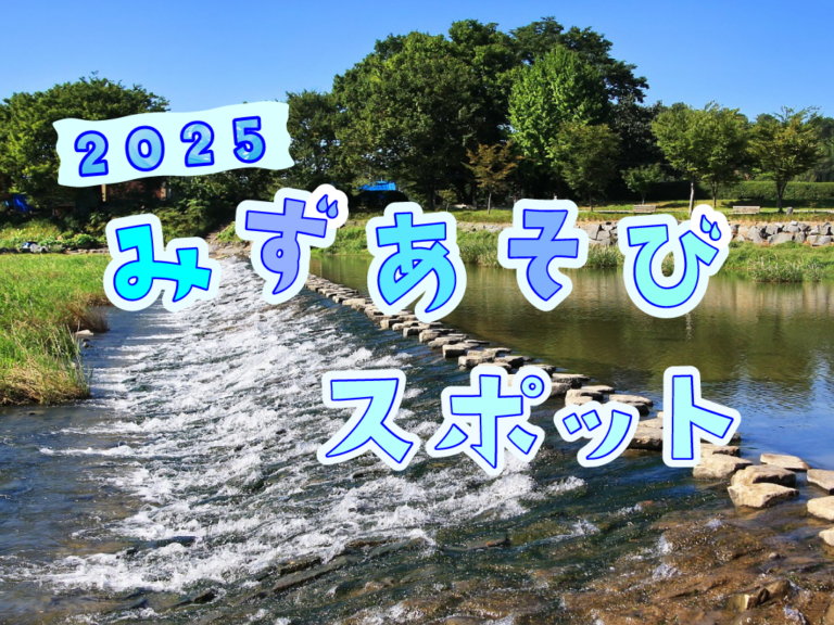 【2025年版】中讃地区の水遊びスポット