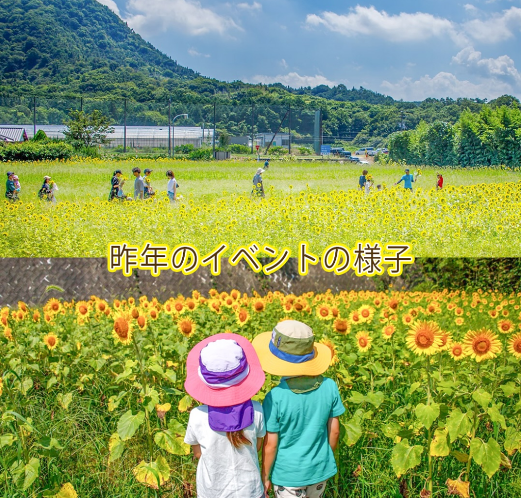 府中ひまわり園 府中フラワーフェスティバル