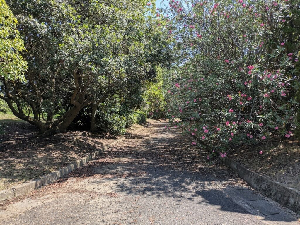 丸亀市 蓬莱海浜公園