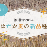 はだか麦の新品種「善通寺2024」の愛称を募集