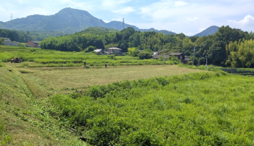 丸亀市栗熊で絶句…広さがサッカー場1.4倍の草刈りに挑むプロ集団