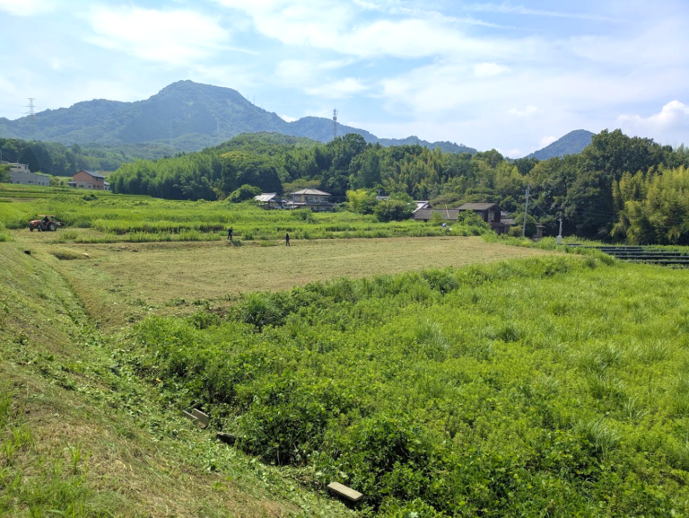 丸亀市栗熊で絶句…広さがサッカー場1.4倍の草刈りに挑むプロ集団