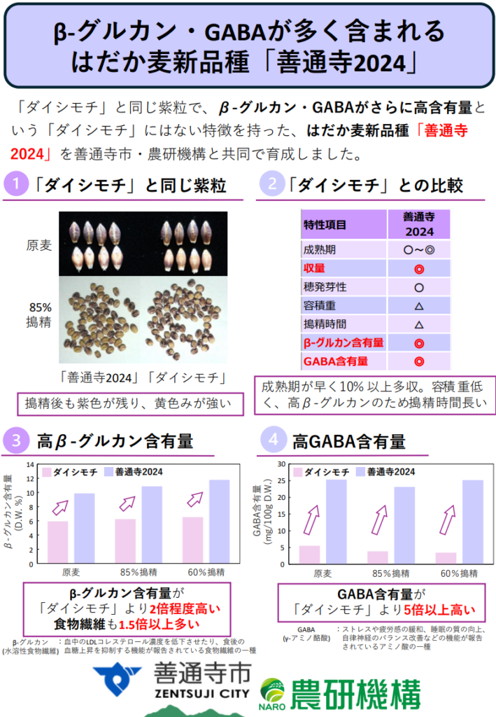 はだか麦の新品種「善通寺2024」の愛称を募集