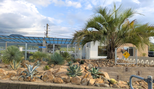 丸亀市綾歌町に「AIM CRAFT GARDEN(エイムクラフトガーデン)」が2025年9月27日(土)にオープン！カリフォルニア気分を楽しめるドライガーデン、エクステリアの新拠点