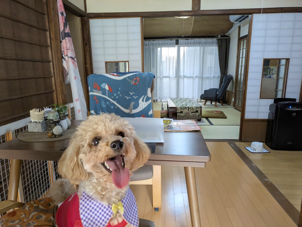 多度津町 すみかふぇ 店内